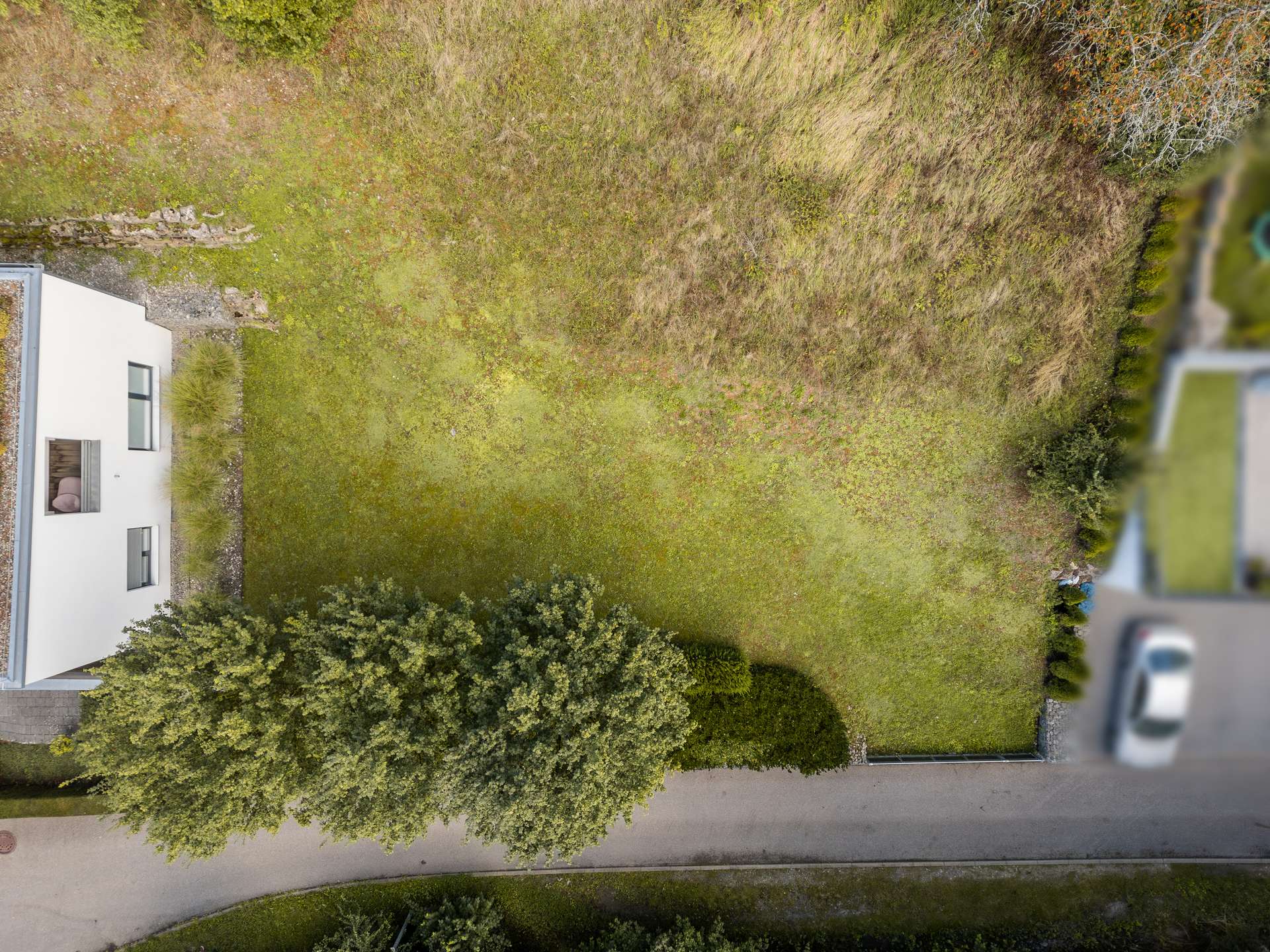 Bauland / Garten
